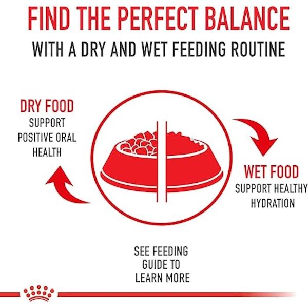 Croquetas Perro Cachorro Raza Mediana Medium Puppy 13.6 Kg Royal Canin