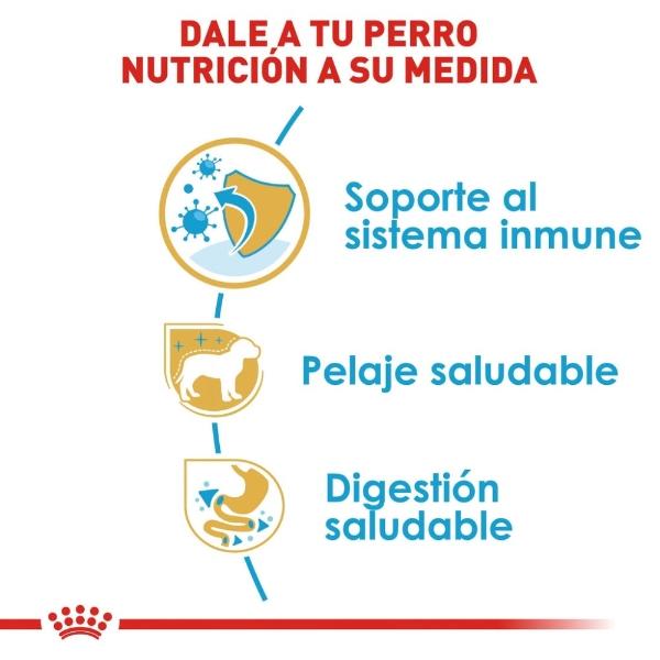 Alimento Húmedo Perro Cachorro Starter 145g Royal Canin