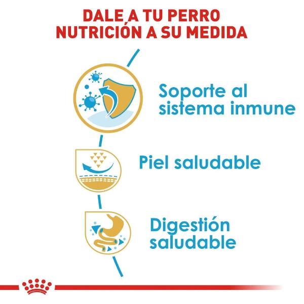 Alimento Croqueta Para Pug Cachorro 1.1Kg Royal Canin