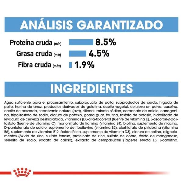 Alimento Húmedo Perro Cachorro Starter 145g Royal Canin