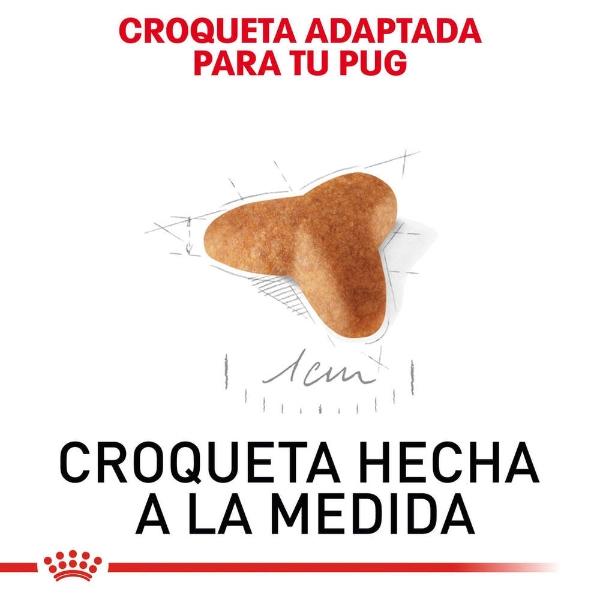 Alimento Croqueta Para Pug Cachorro 1.1Kg Royal Canin