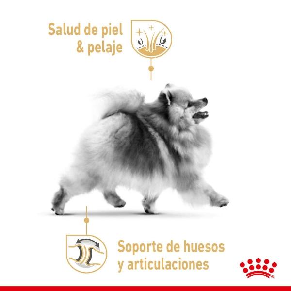 Alimento Croqueta Pomeranian Adulto 1.1Kg Royal Canin