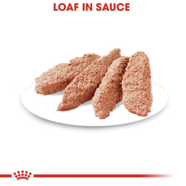 Alimento Húmedo Gato Adulto Loaf in Sauce 145g Royal Canin