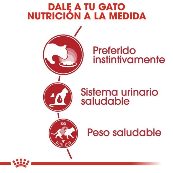 Alimento Húmedo Gato Adulto Loaf in Sauce 145g Royal Canin