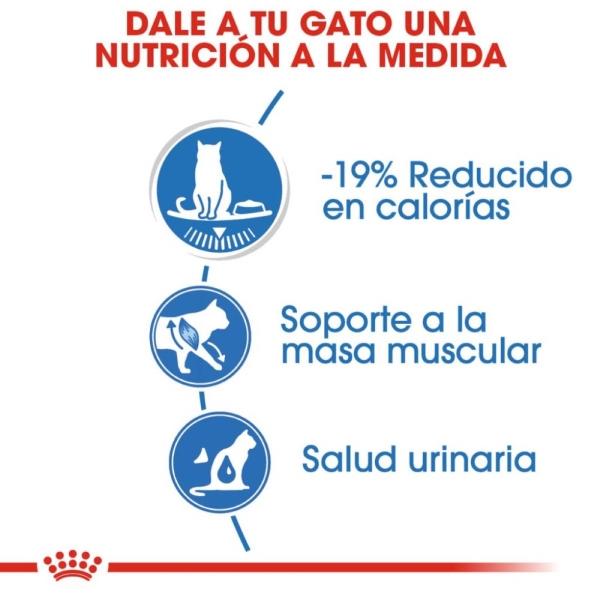 Alimento Húmedo Gato Adulto Weight Care 145g Royal Canin