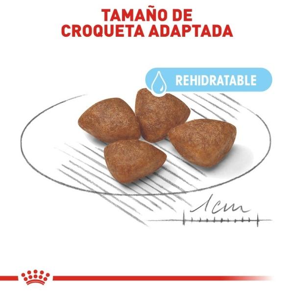 Croquetas Perro Cachorro Raza Pequeña 1.14kg Royal Canin