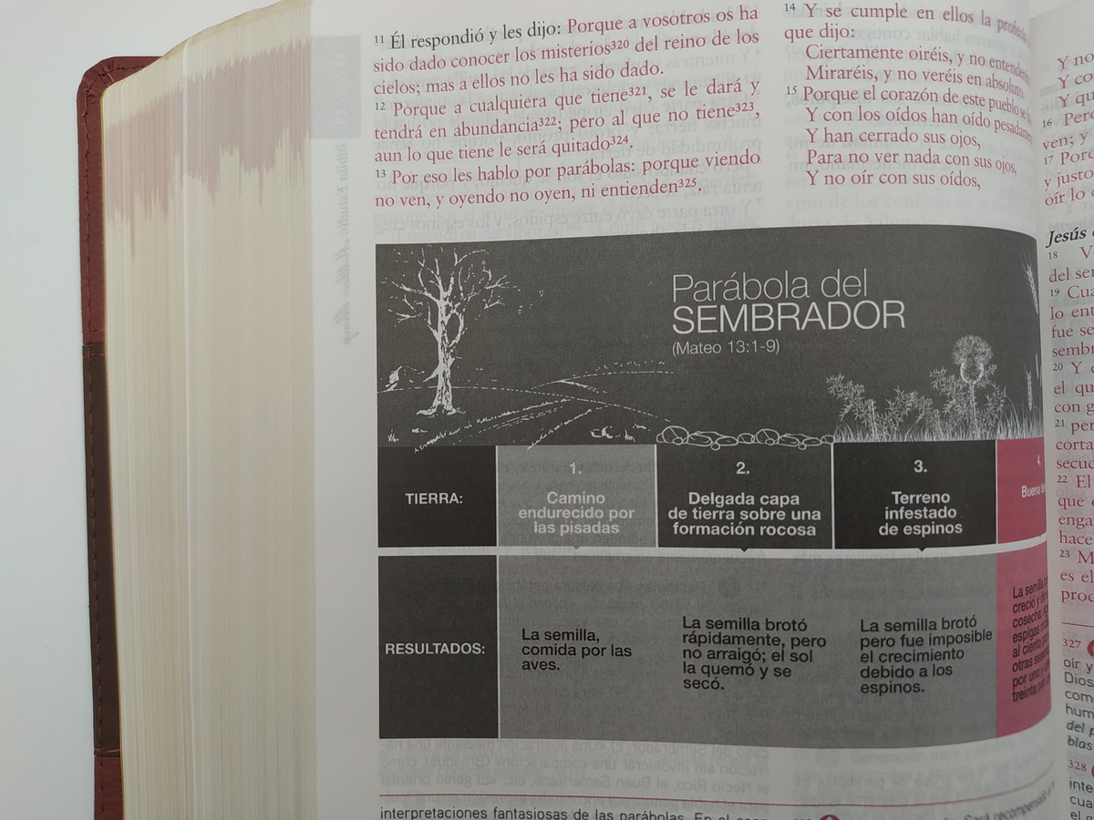 Biblia Rvr De Estudio Matthew Henry, Leathersoft, Clásica