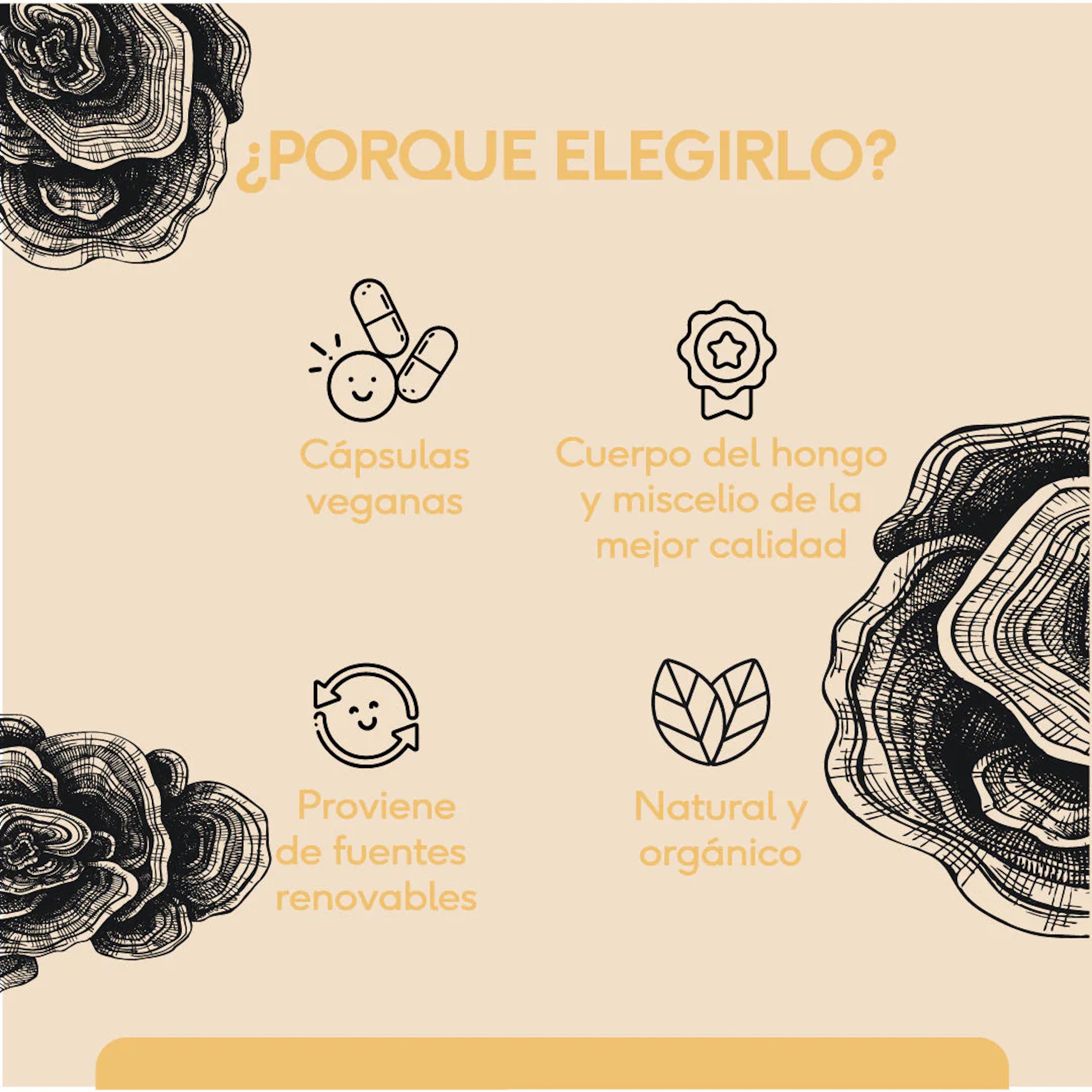 Hongo Cola de Pavo 60 cápsulas veganas Quenut Turkey Tail 
