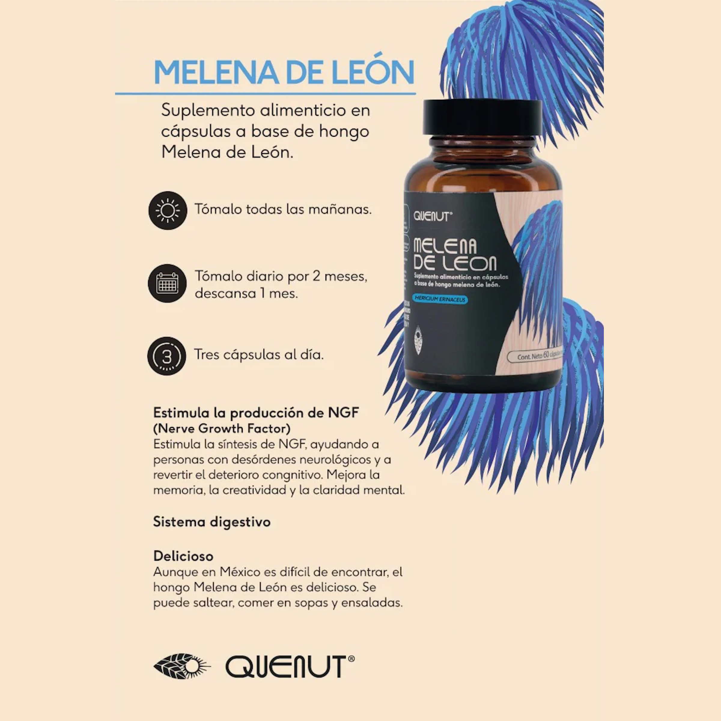 Hongo Melena de León 60 cápsulas veganas Quenut Lion's Mane 