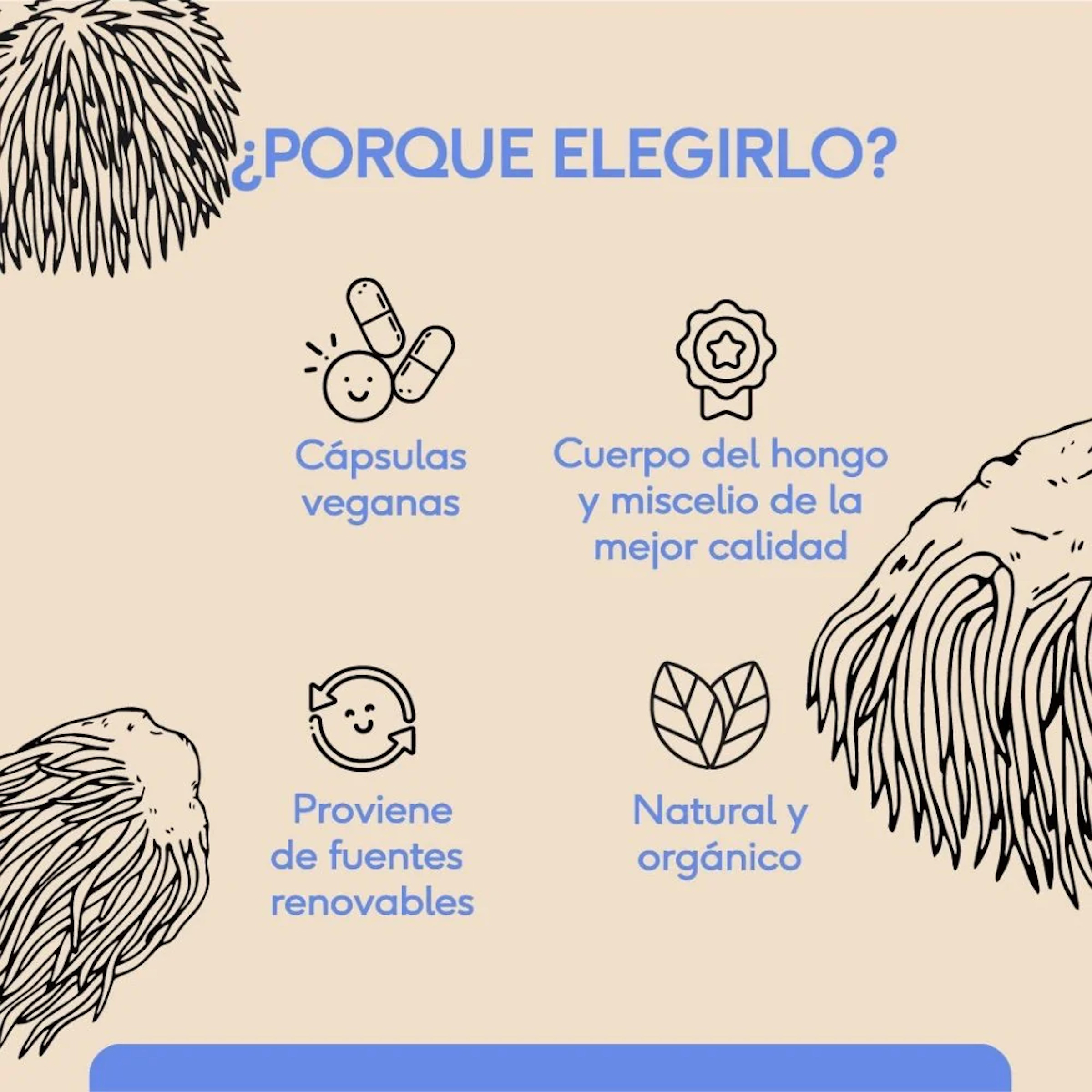 Hongo Melena de León 60 cápsulas veganas Quenut Lion's Mane 