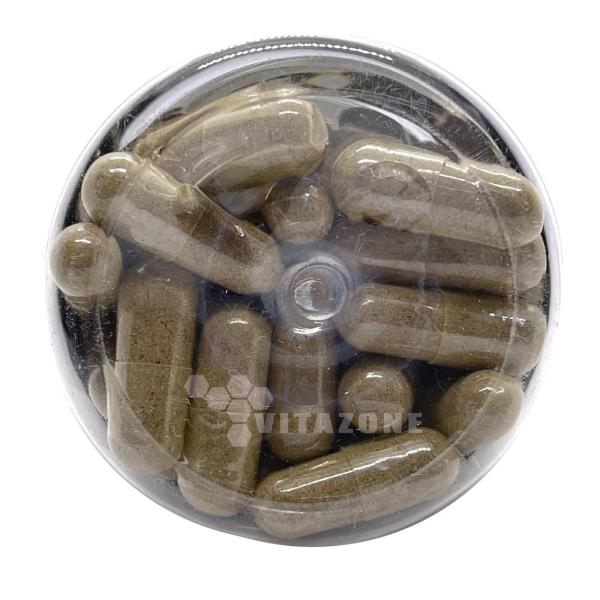 Cuachalalate Cancerina Sábila Tepezcohuite 90 cáps Astro 