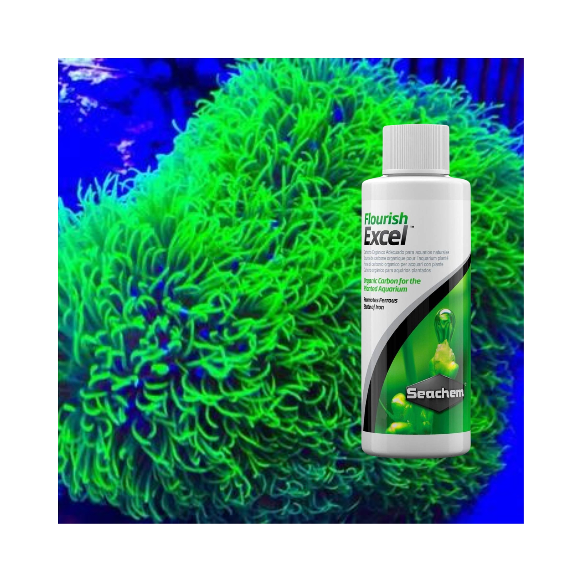 Acondicionador fluorish excel seachem 500 ml	