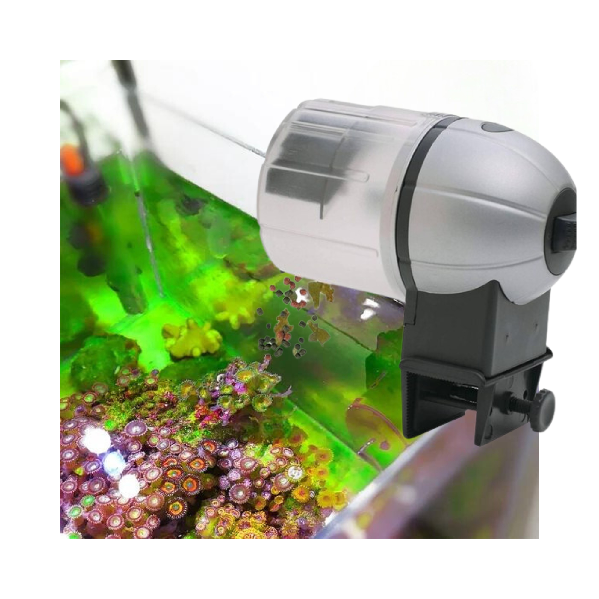 Alimentador automatico para peces Dophin 