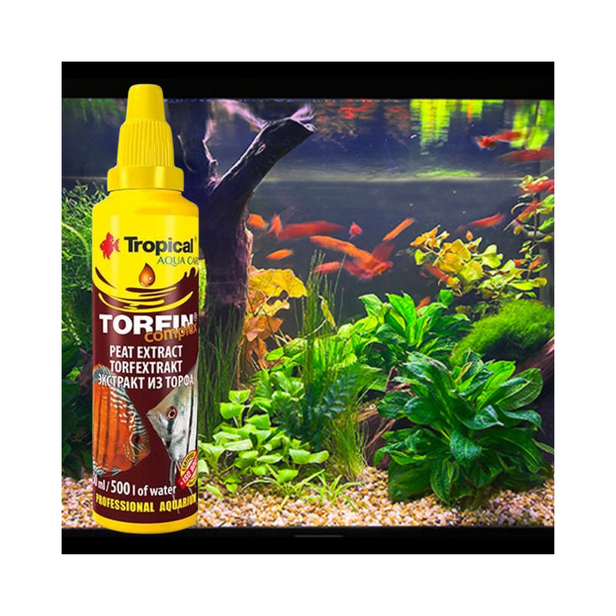 Torfin complex tropical 50 ml 