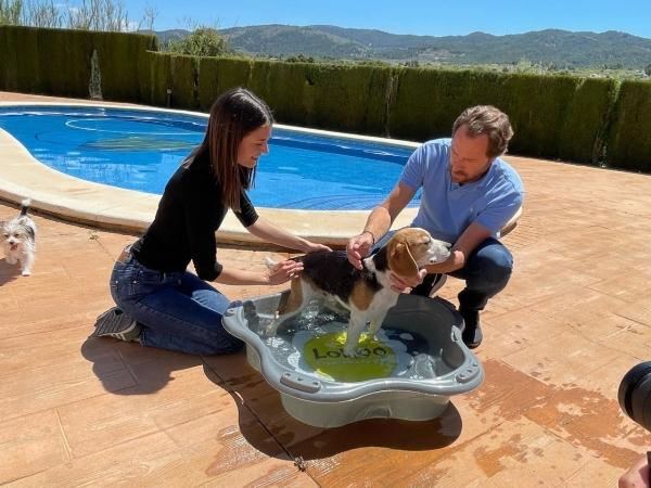 Alberca Piscina Para Perros Bañera Mascota