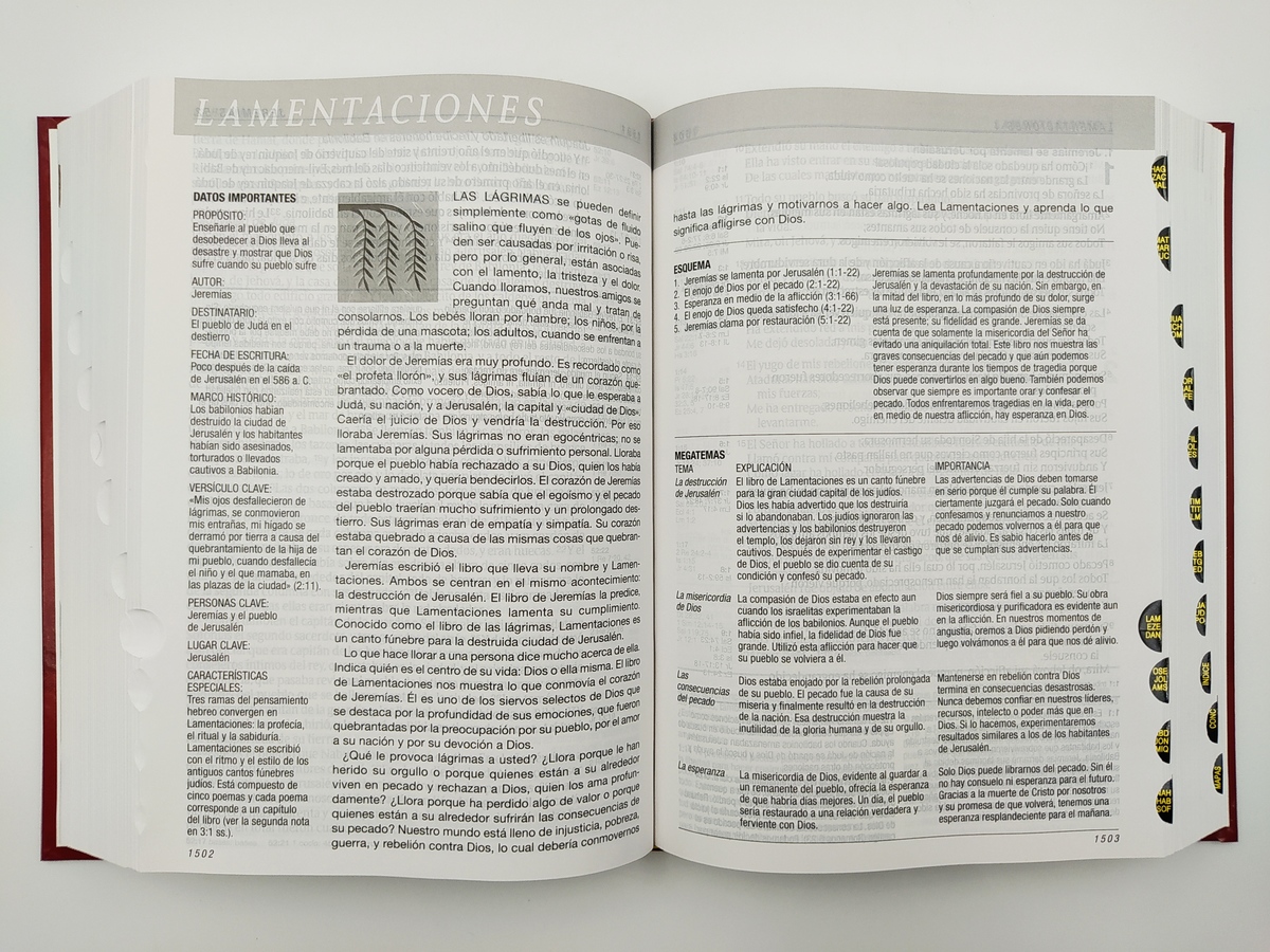 Biblia Rv1960 Estudio Del Diario Vivir Tapa Dura Con Índice Letra Grande