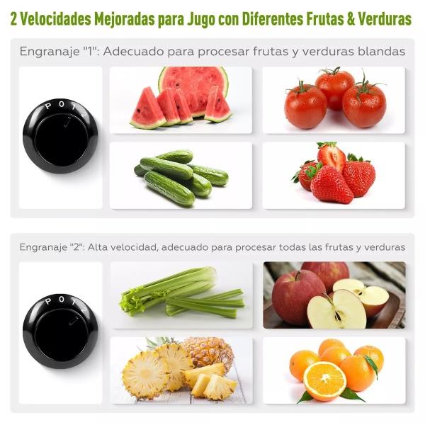 Extractor De Jugos, 2 Modos De Velocidad 350w