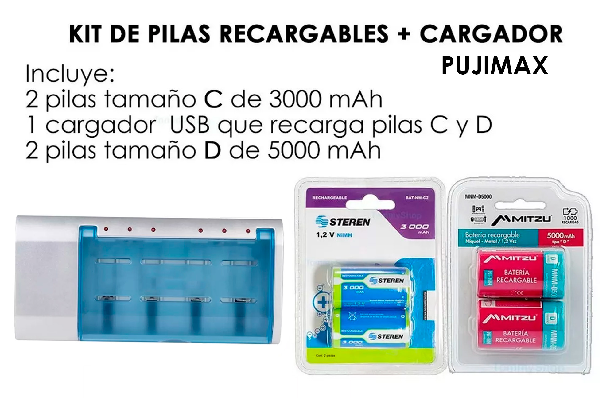 Cargador + 2 Pilas Recargables Tamaño D + 2 Tipo C Ni-mh