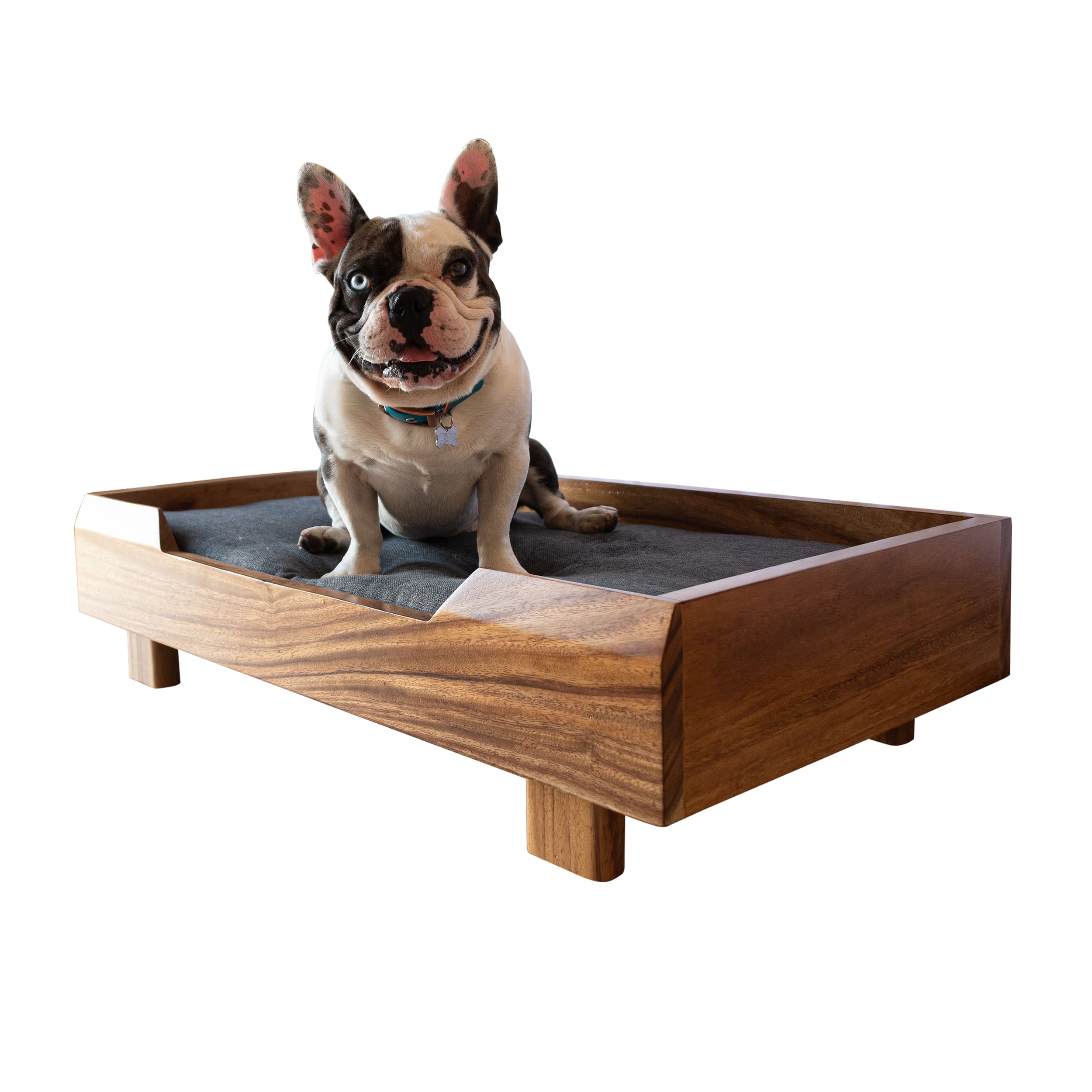 Cama para Perro | Fabricada en Madera de Parota Sólida | Cama con Cojín de Espuma de Poliuretano y Cubierta de Poliéster | Tamaño Mediano | Cama Elevada