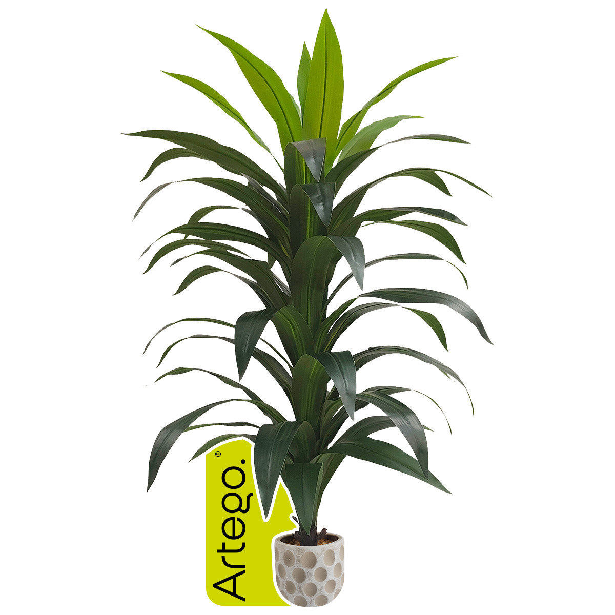 Pianta Artificiale Dracaena Quasi Natural – 198 Cm Di Altezza, 8 Tronchi, 200+ Foglie Per Ufficio E Casa
