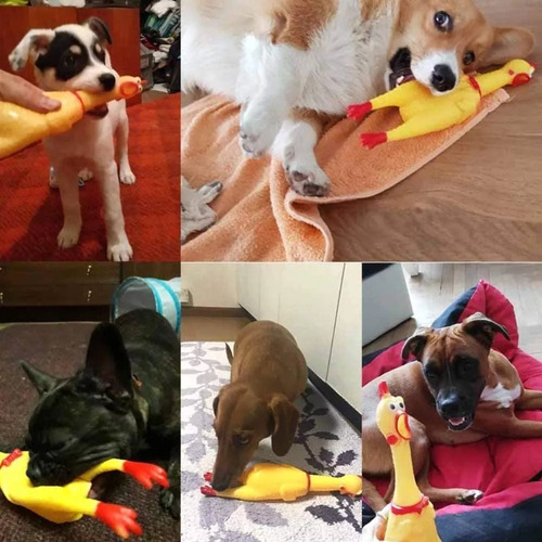 Juguetes Para Perros Hiperactivos 10 Unidades