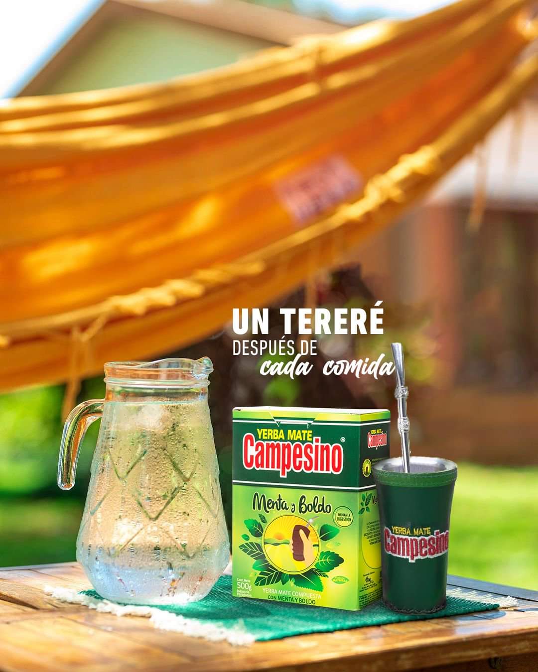 Yerba Mate Campesino Menta Boldo.