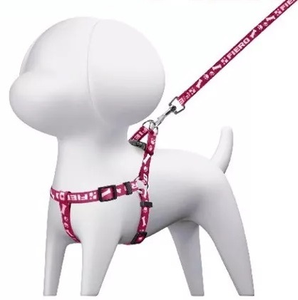 CORREA PARA PERRO RAZAS PEQUEÑAS CON PECHERA, 1CM ANCHO VERDE