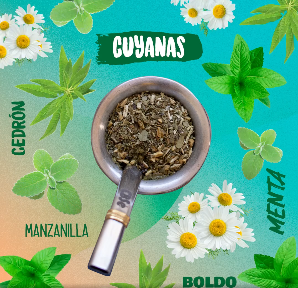 Yerba Mate Cbsé Hierbas Cuyanas 500 g.