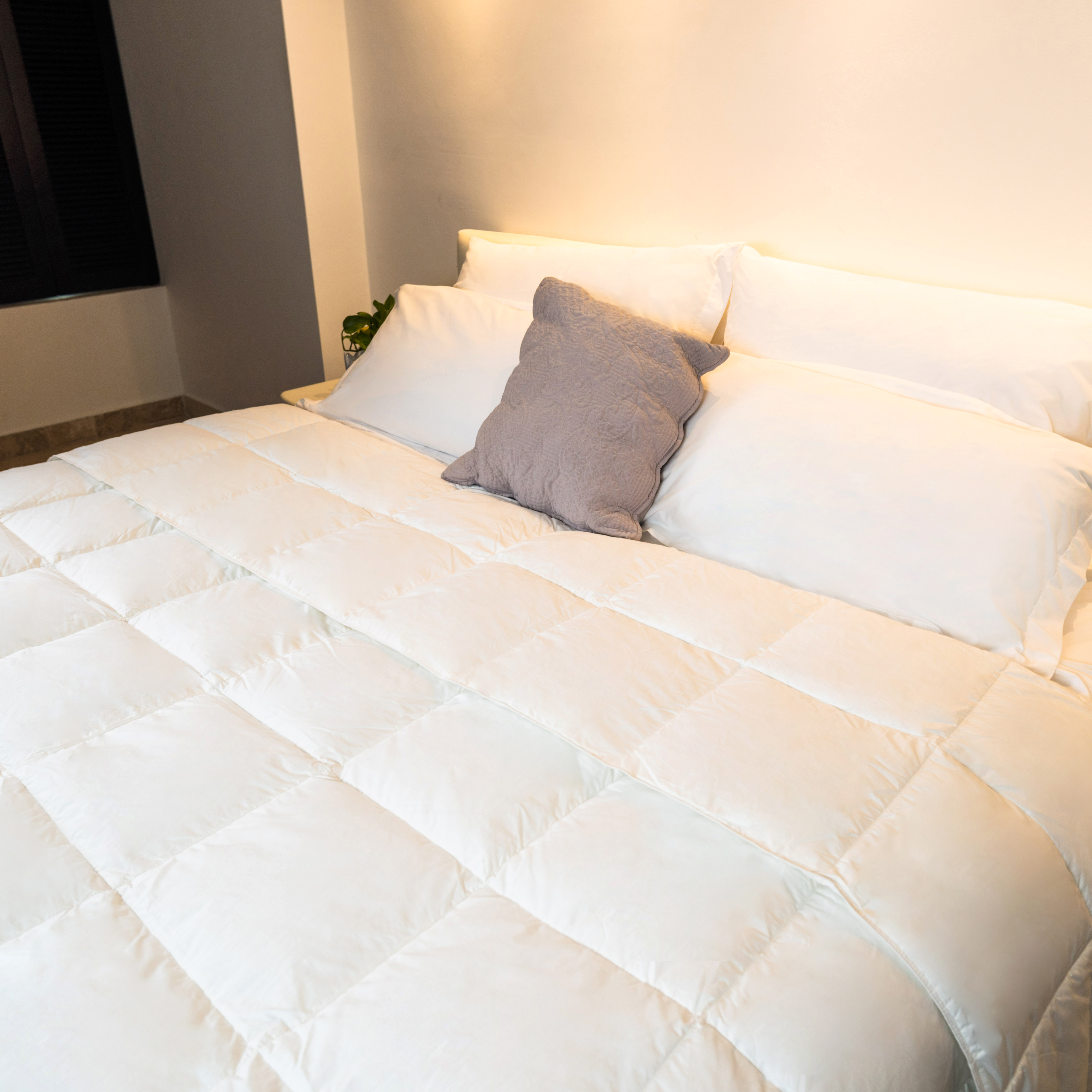 Edredón Colcha Pluma D Ganso Alternativo Invierno Individual.