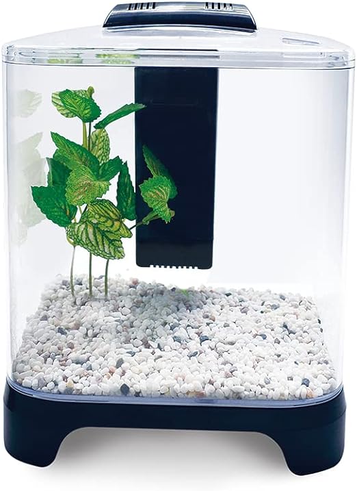 Lomas ACUARIO MINI 6 L.