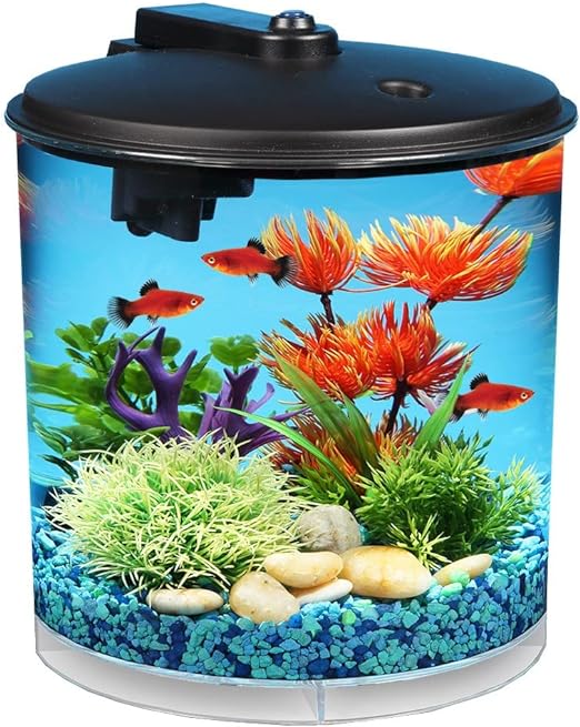 Koller Products AquaView 360 Acuario de 2 galones con Filtro de Potencia e iluminación LED