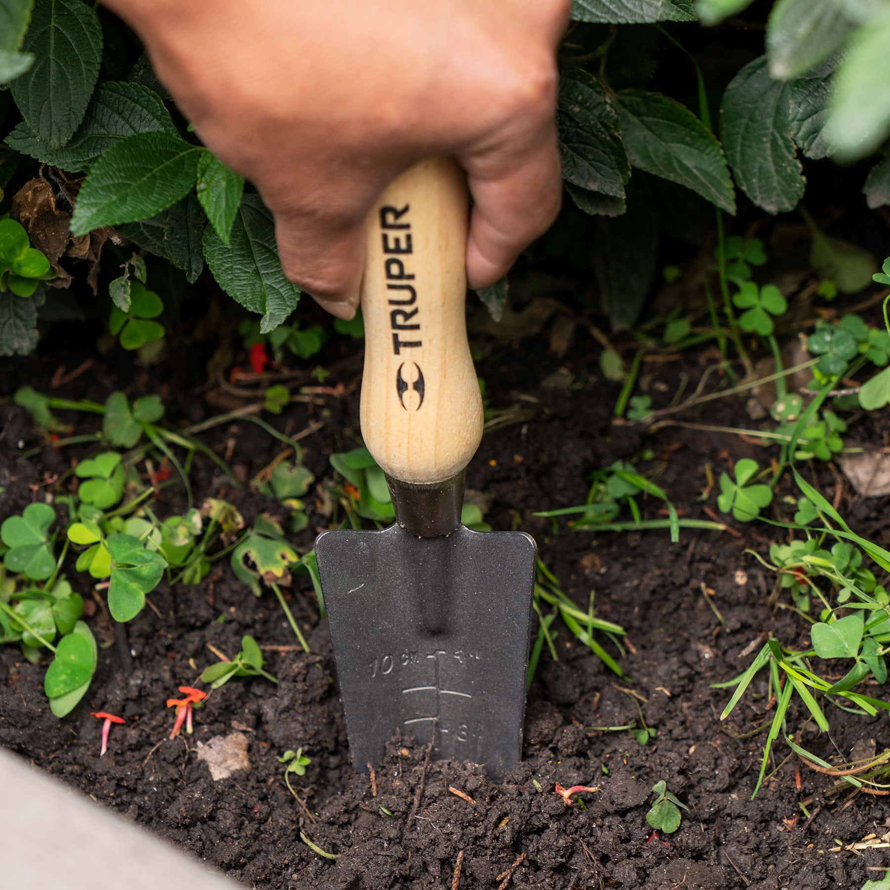 Herramientas Para Jardín 5 Piezas, 6" Kit Para Sembrar.