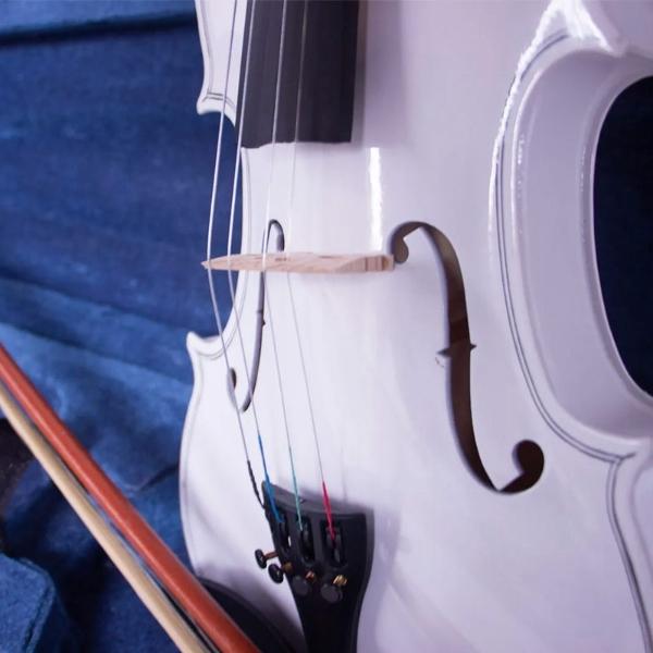 Violin Profesional  4/4 Principiante Blanco Incluye Cuerda Brea Estuche