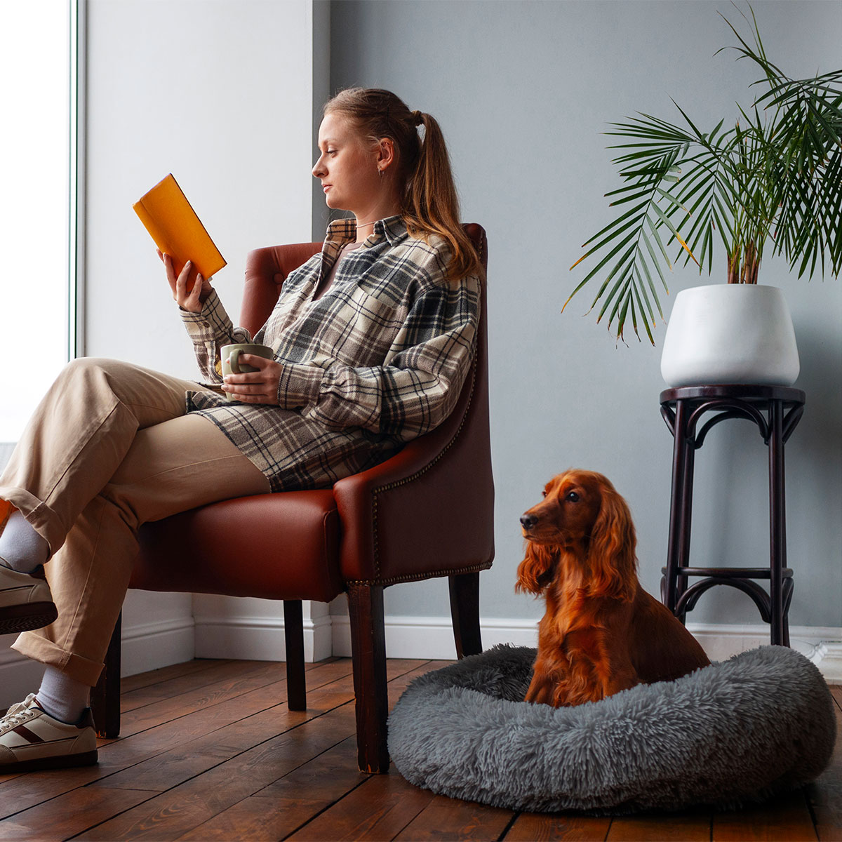 Cama mascotas para perro o gato antideslizante Pet Boutique Mediana Gris Tv Ofertas única con cierre, para un fácil retiro de funda y lavado, adaptable a todo tipo de clima + Cepillo Incluido 