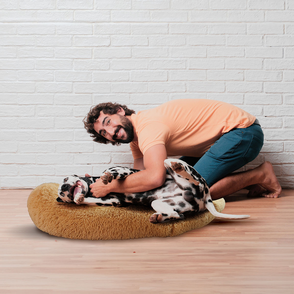 Cama mascotas para perro o gato antideslizante PEACEFULL POOCH Mediana Tv Ofertas única con cierre, para un fácil retiro de funda y lavado, adaptable a todo tipo de clima 