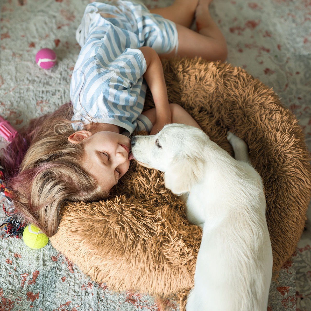 Cama mascotas para perro o gato antideslizante PEACEFULL POOCH Grande Tv Ofertas única con cierre, para un fácil retiro de funda y lavado, adaptable a todo tipo de clima  