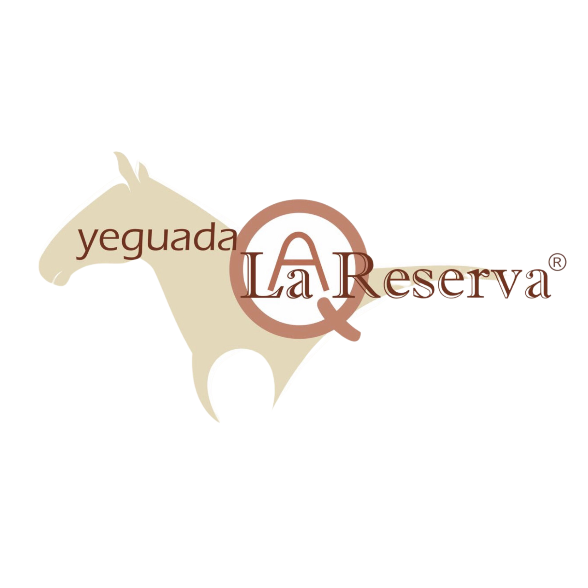 Shampoo MATIZADOR de Mechas y Canas Yeguada la Reserva . Tratamiento Matizante, Elimina Tonos Deslavados, Amarillos, Rojos y Verdes por Tintes y Decoloraciones. Shampoo para Caballo para uso humano  500 ml. (2 Botellas)