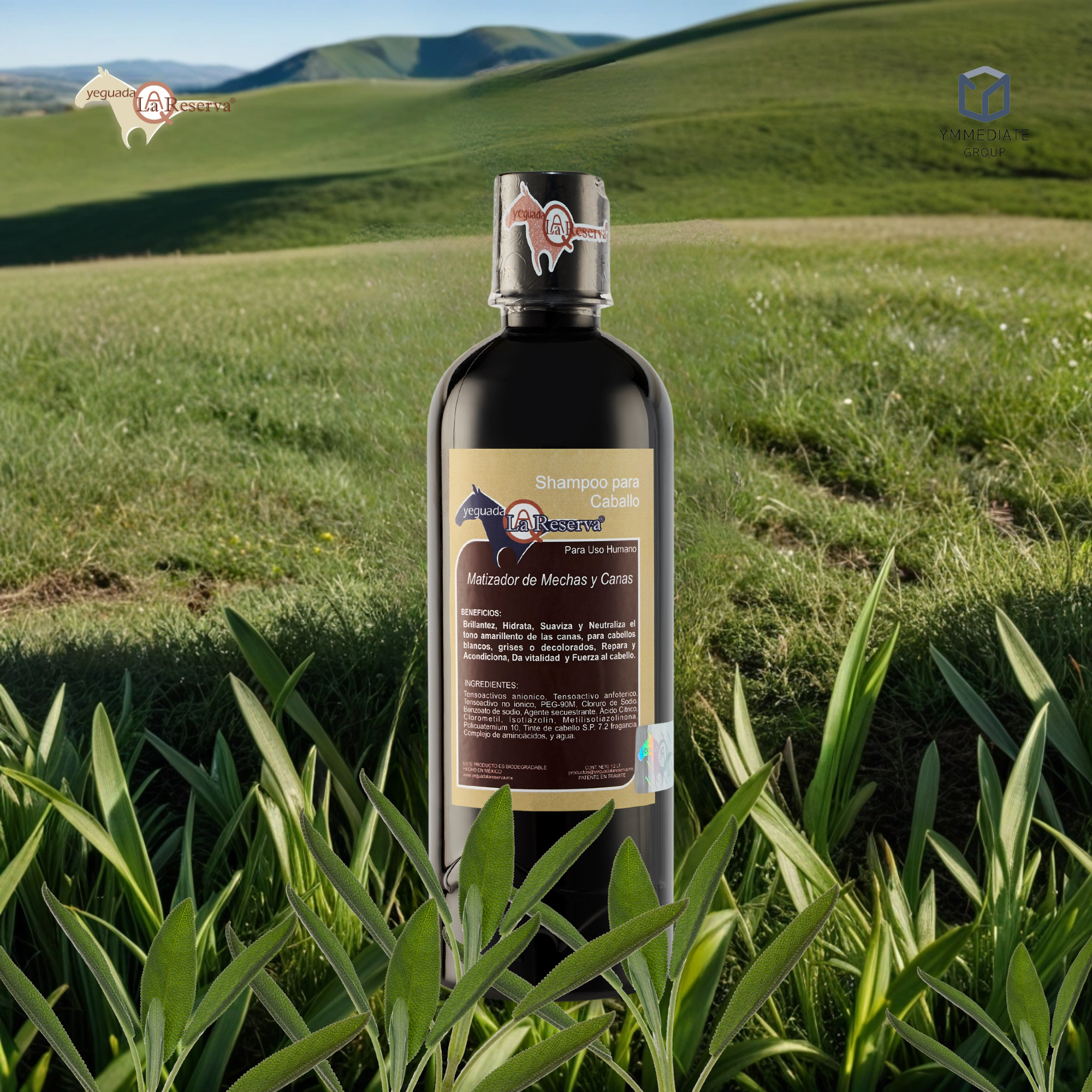 Shampoo MATIZADOR de Mechas y Canas Yeguada la Reserva . Tratamiento Matizante, Elimina Tonos Deslavados, Amarillos, Rojos y Verdes por Tintes y Decoloraciones. Shampoo para Caballo para uso humano  500 ml. (2 Botellas)