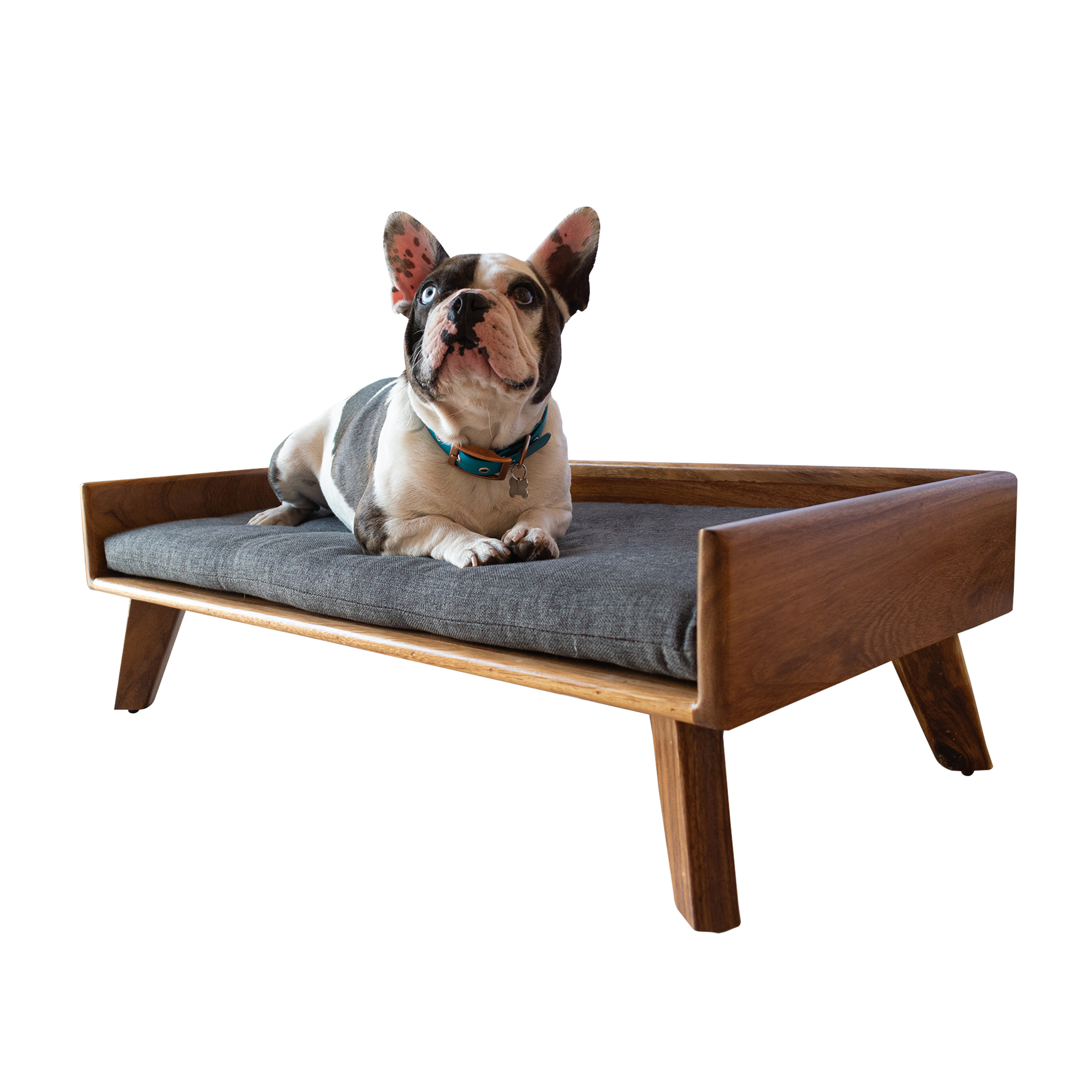 Cama para Perro | Fabricada en Madera de Parota Sólida | Cama con Cojín de Espuma de Poliuretano y Cubierta de Poliéster | Tamaño Mediano | Cama Elevada