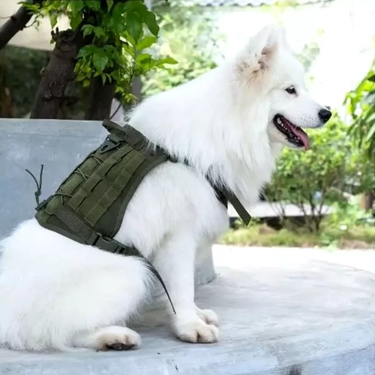 Pechera Táctica Arnés Para Perro Verde Militar Talla M
