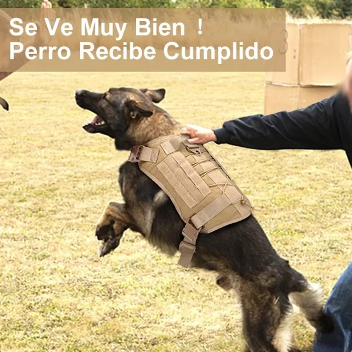 Pechera Táctica Arnés Para Perro Mediano Grande Con Parches Caki Talla G