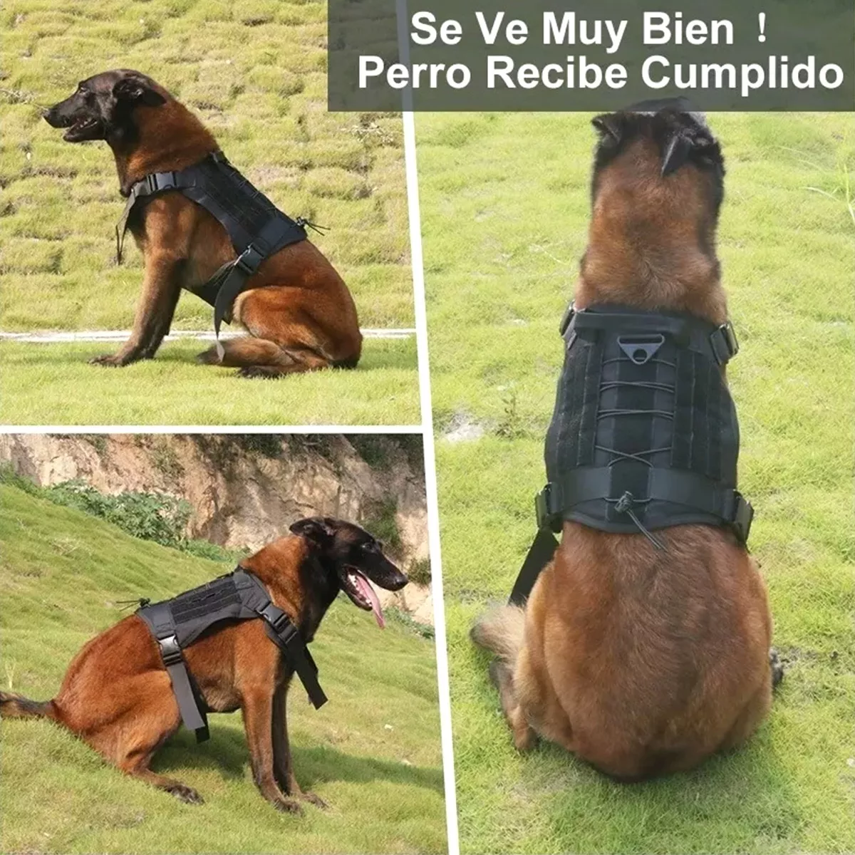 Pechera Táctica Arnés Para Perro Mediano Grande Con Parches Negro Talla M