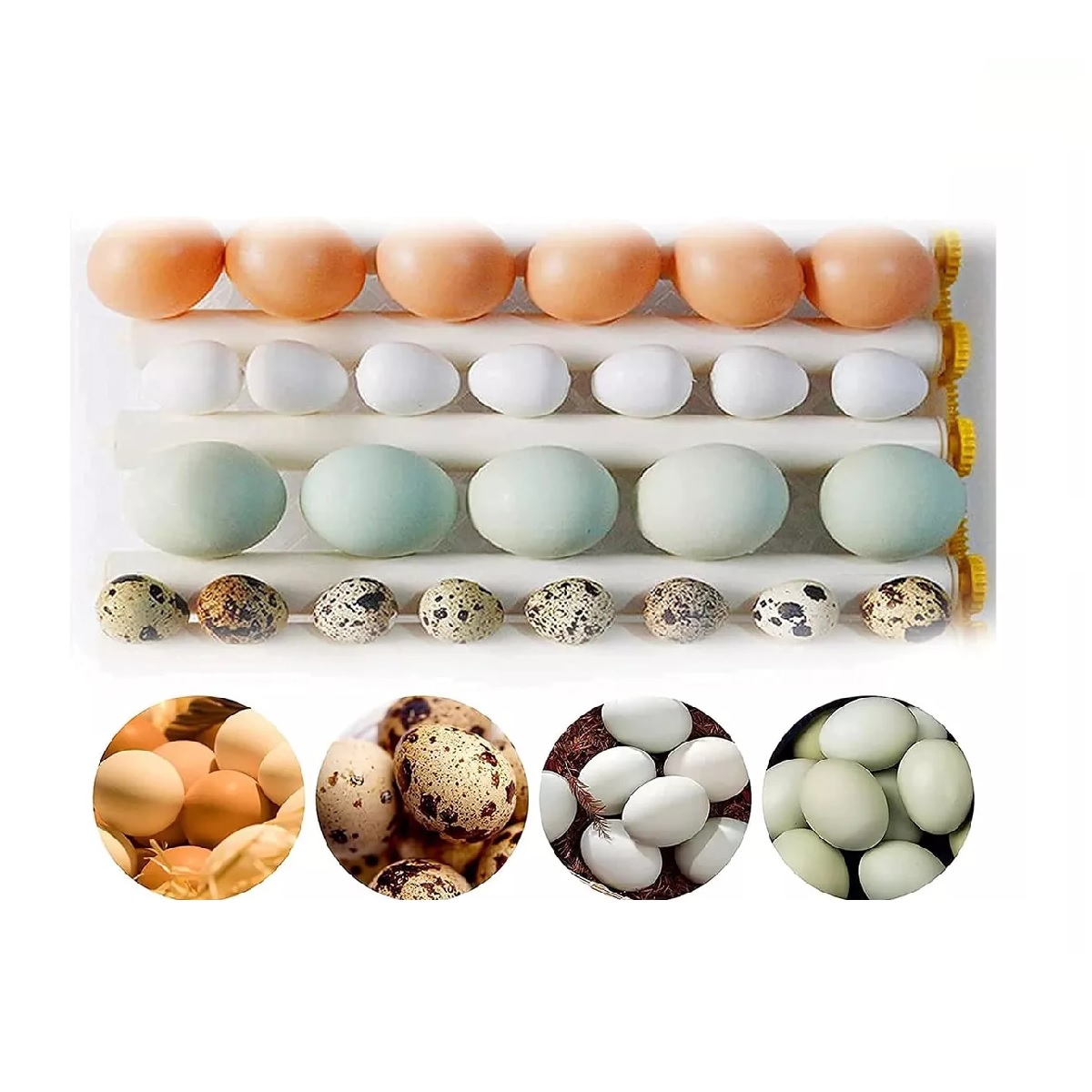 Incubadora 16 Huevos Automatico De Pollos Y Aves Corral