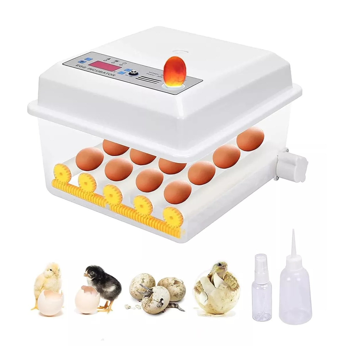 Incubadora 16 Huevos Automatico De Pollos Y Aves Corral