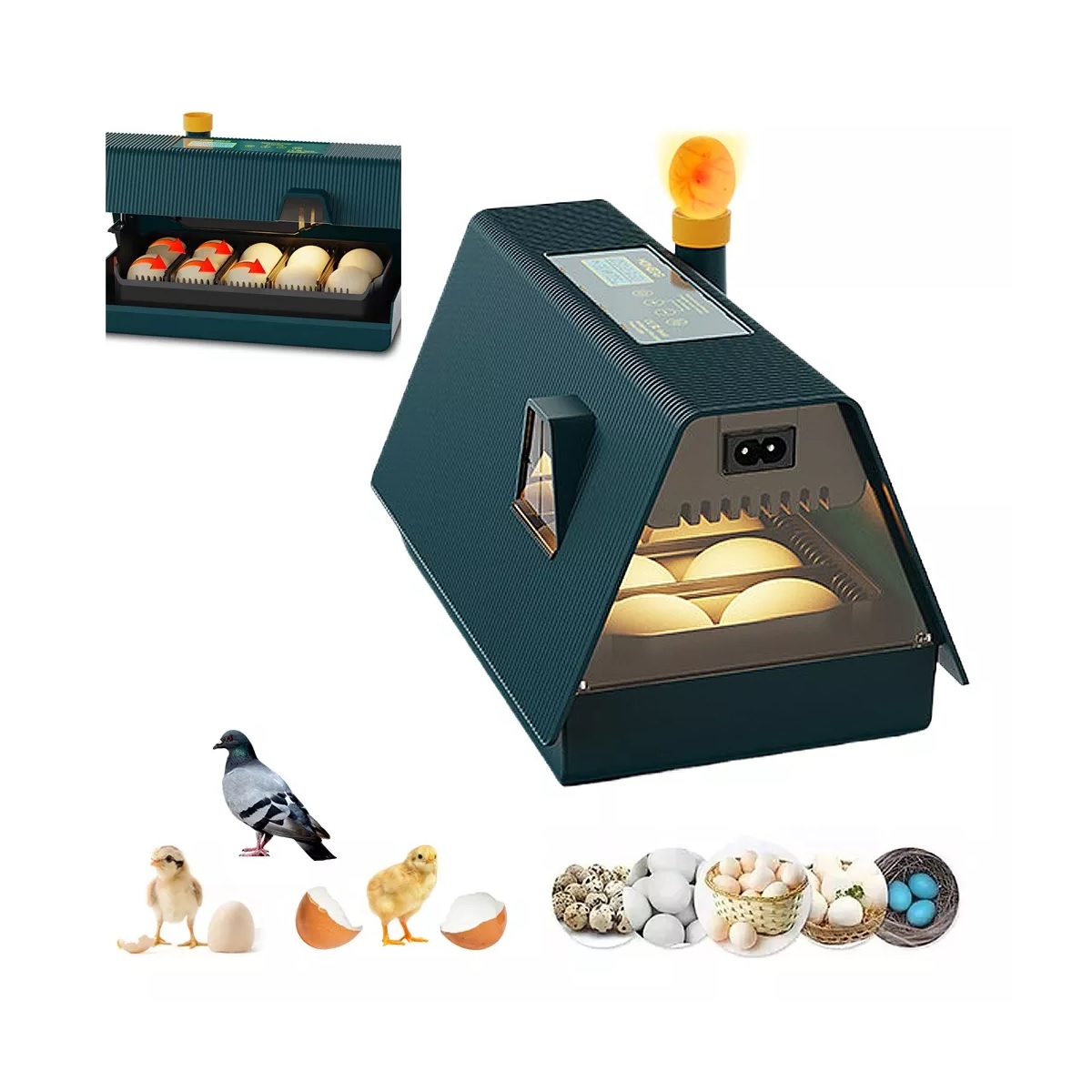 Incubadora Automática De Aves Corral, capacidad Para 10 huevos