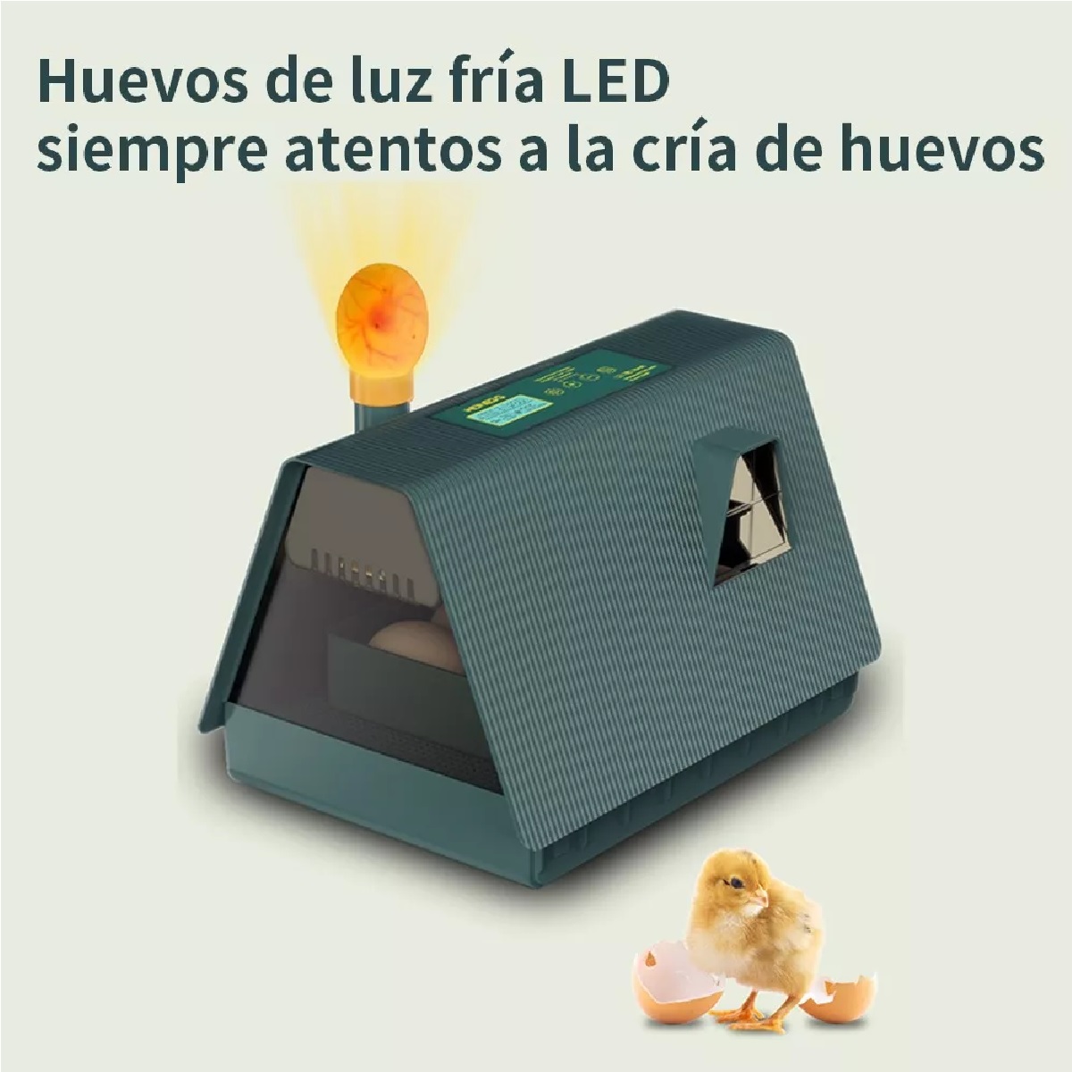 Incubadora Automática De Aves Corral, capacidad Para 10 huevos
