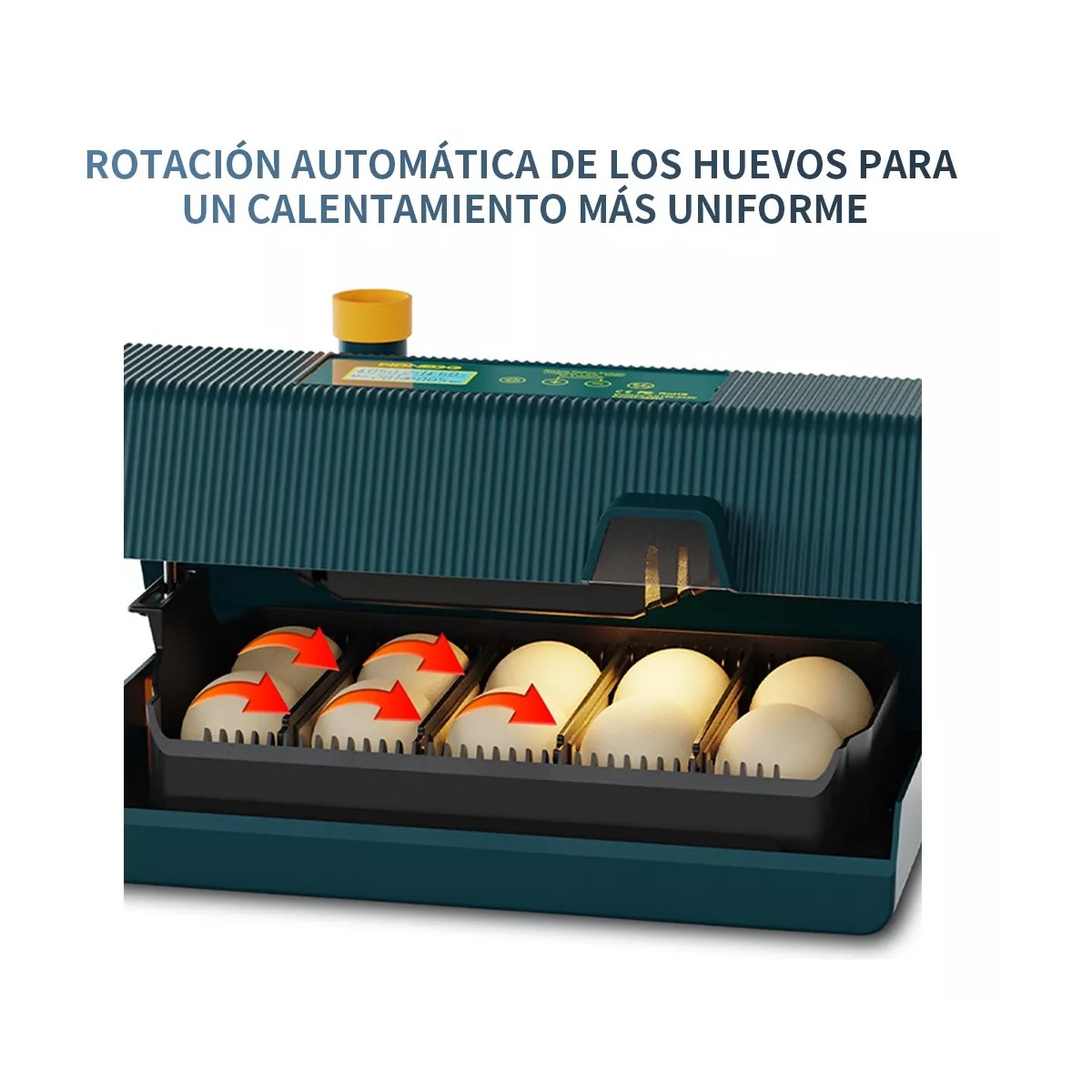 Incubadora Automática De Aves Corral, capacidad Para 10 huevos
