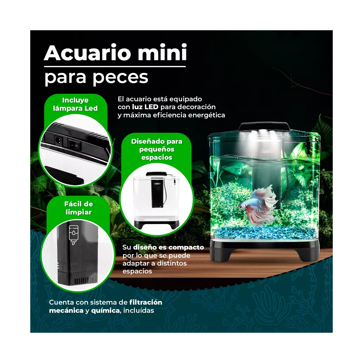  Acuario Mini 6 Lts Acrilico Filtro Interno Luz Led