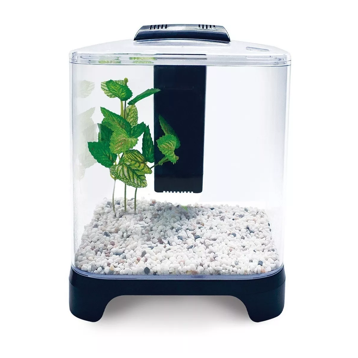  Acuario Mini 6 Lts Acrilico Filtro Interno Luz Led