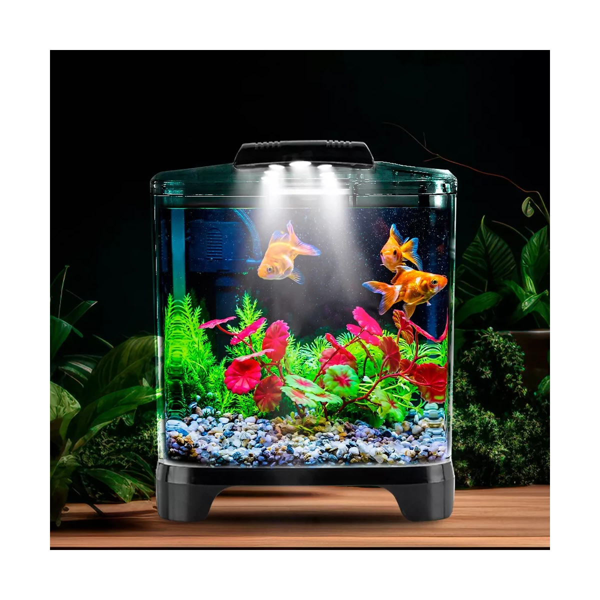  Acuario Mini 6 Lts Acrilico Filtro Interno Luz Led